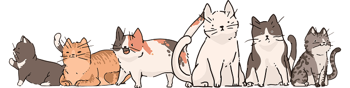 clowder of cats